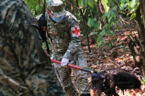 A soldier removes the body of a howler mo<em></em>nkey that died amid extremely high temperatures in Tecolutilla, Tabasco state, Mexico, May 21, 2024. (AP Photo/Luis Sanchez)