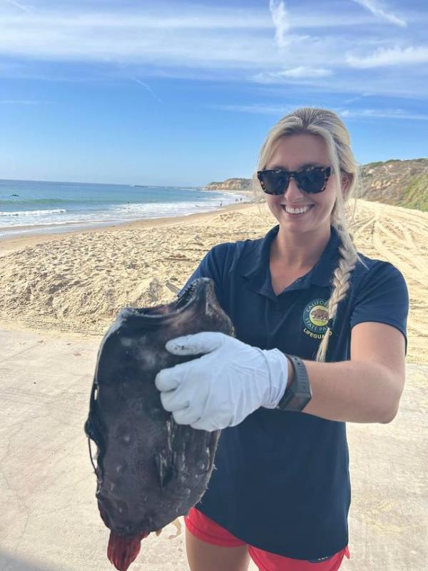 Angler fish typically live very deep down in the ocean. Credit: Facebook / Crystal Cove State Park