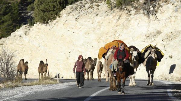 Turkish nomads embark on winter migration