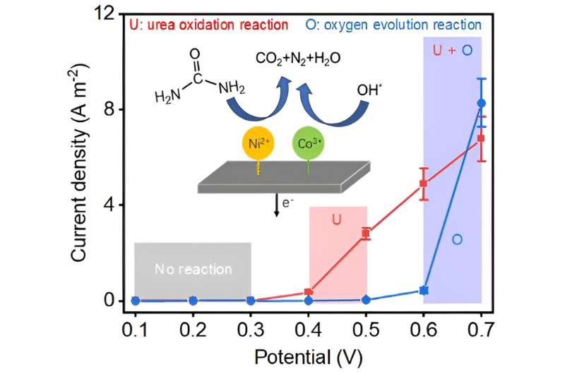 The process of efficiently moving urea out of polluted water is coming to reality