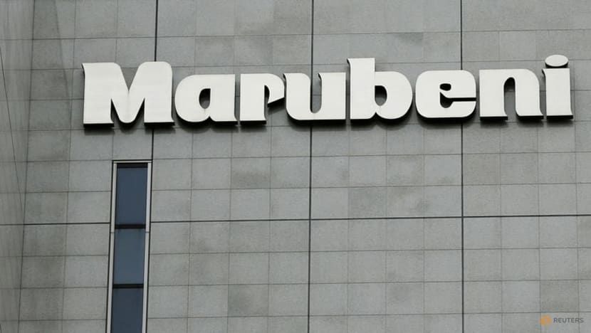 Marubeni posts 20% drop in 9-mth profit on lower resource prices 