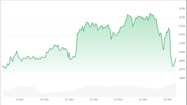 Bitcoin's price over the past week. Pic: CoinGecko