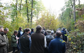 Farmers meeting to learn a<em></em>bout nightingales (a farmer cluster meeting) A leaky dam - creating a wet woodland habitat, great co<em></em>nditions for nightingales.