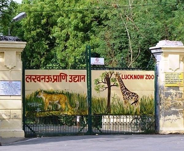 Lucknow Zoo in India