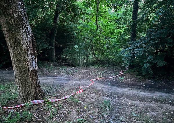 Tape in the woods wher<em></em>e Rzhitsky was found dead