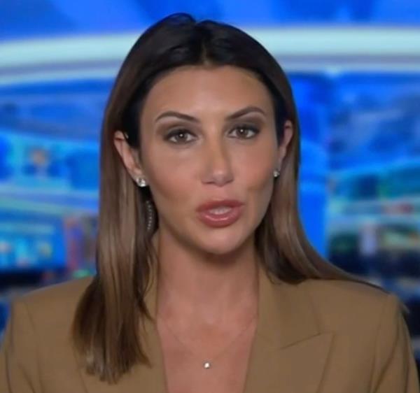 Alina Habba is pictured on Hannity Mo<em></em>nday night.