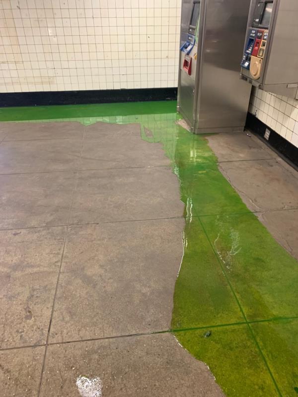 Green slime oozed into the 7th Avenue subway station in Brooklyn earlier this year.