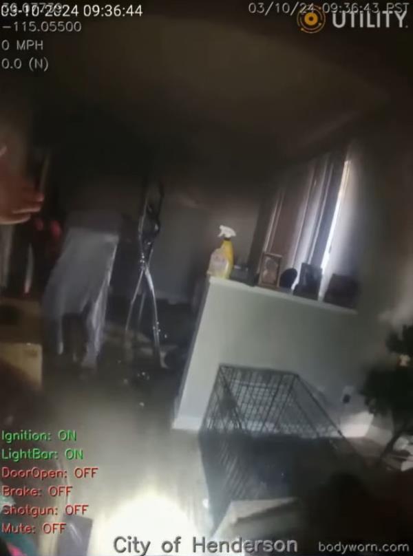 Police in Nevada rescue 8-year-old girl crying for her mother during apartment fire: video