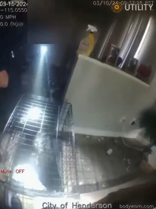 Police in Nevada rescue 8-year-old girl crying for her mother during apartment fire: video