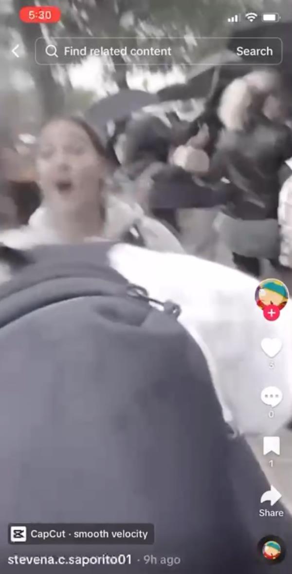 Screenshot of TikTok video showing moment girl tried to walk away before getting slapped and then punched by a bully.