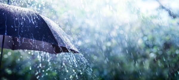 Rain hitting an umbrella