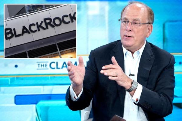 BlackRock CEO Larry Fink has come under fire for the company's ESG investment strategy.