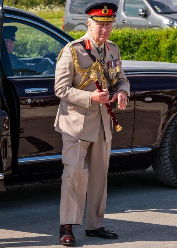 Prince William and King Charles at a D-Day anniversary event