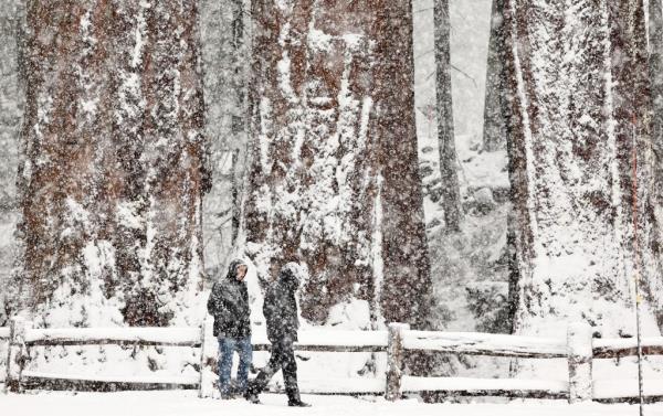 People walking through heavy snow in Kings Canyon Natio<em></em>nal Park in California on Feb. 1, 2024.