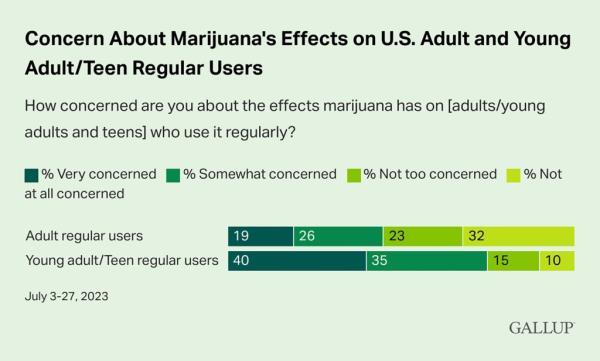 A majority of Americans reported not being too co<em></em>ncerned a<em></em>bout health effects of using marijuana.