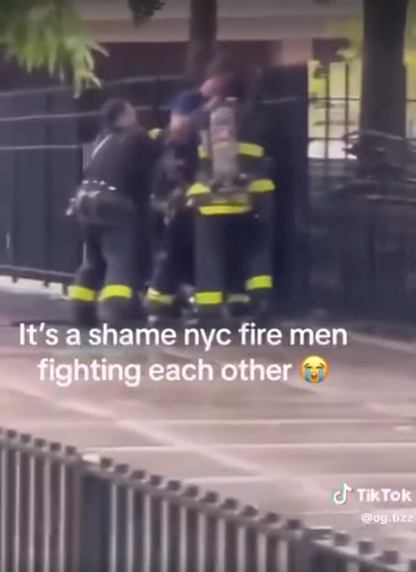 A clip of the fight.