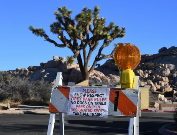 Joshua Tree Natio<em></em>nal Park