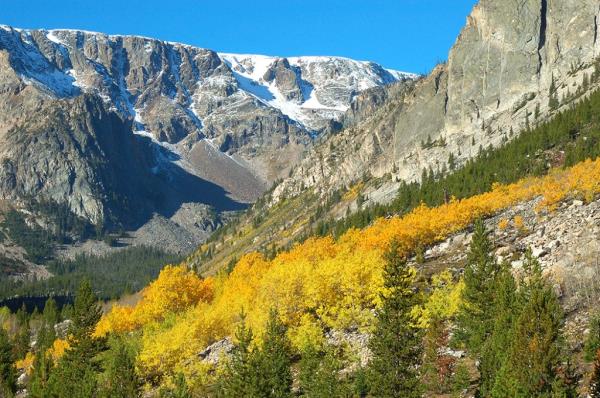 Custer Gallatin Forest - Beartooth Moutains