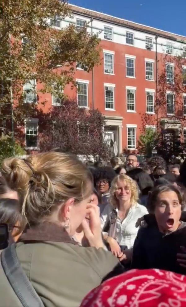 Chalamet's appearance came after a couple of NYPD cops and city Parks Department enforcement agents tried to break up the crowd of several hundred people, saying it was an unlawful gathering without a permit.