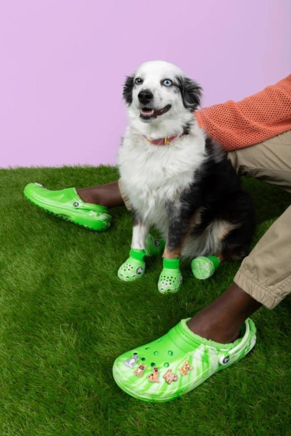 The brand is releasing the Pet Crocs alo<em></em>ngside matching classic lined clogs for humans.