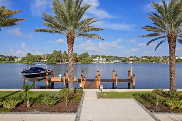 Palm trees and water views 