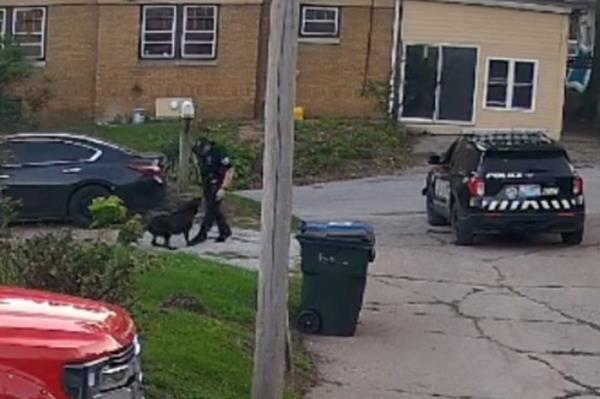 Davenport Police Department officer Ethan Bock opened fire on the dog last Wednesday after respo<em></em>nding to a separate 911 call a<em></em>bout four other aggressive canines roaming the streets.