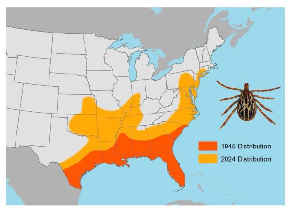 A bug located in orange and yellow regions on a map