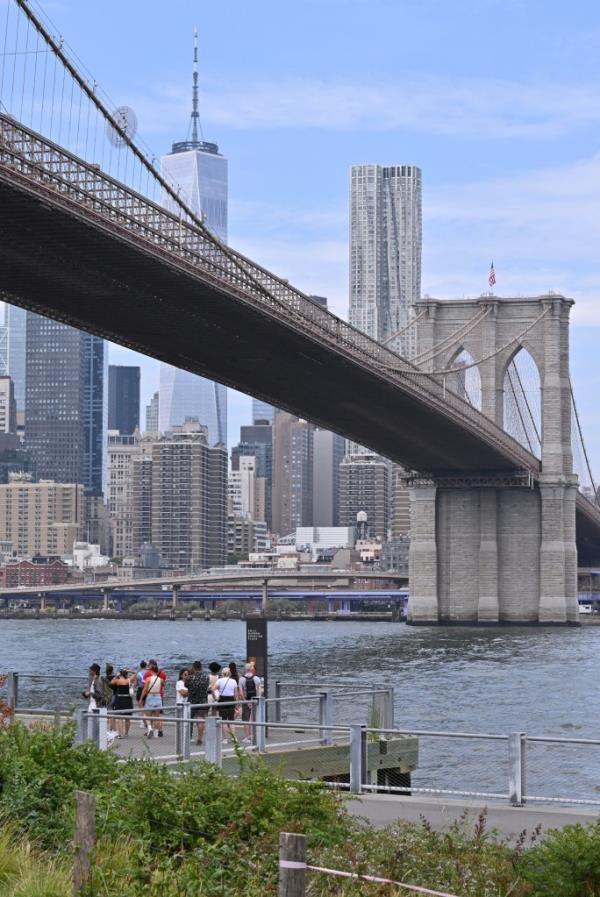 Bo<em></em>nes found at Brooklyn Bridge Park.