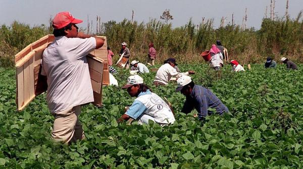 Florida migrants