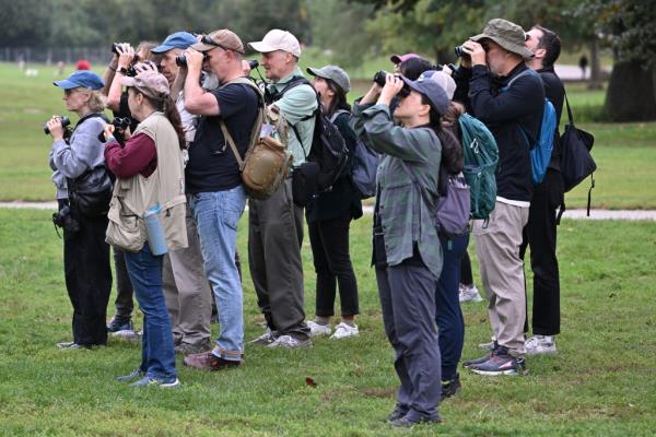 The Brooklyn Bird Club looks at the birds.