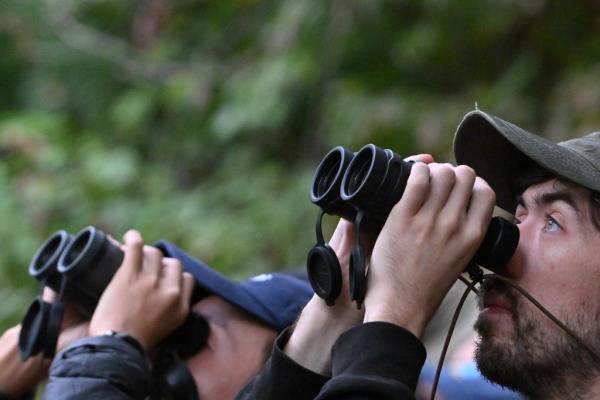 Bird watchers using their binoculars. 