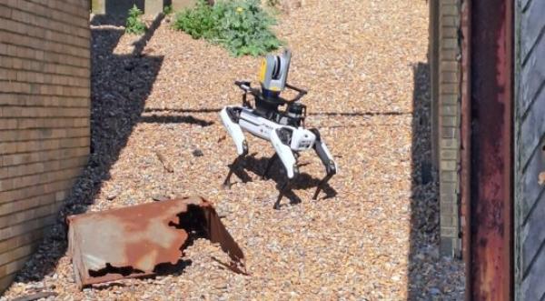 Robot dog spot