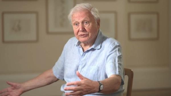 Sir David Attenborough will break hearts with his self-deprecating comment a<em></em>bout Planet Earth