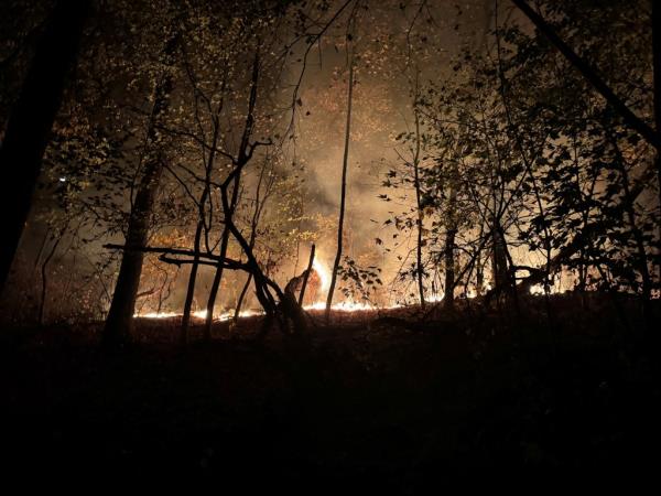 Smoke billows from a fire at Prospect Park, New York City, New York, U.S., November 8, 2024, in this picture obtained from social media.