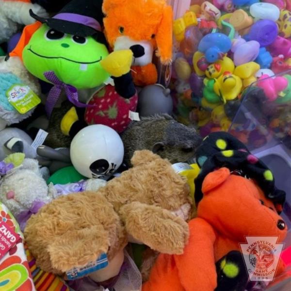 groundhog in a claw machine