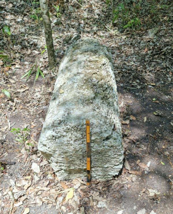 A stone column is pictured after archaeologists from Mexico's Natio<em></em>nal Institute of Anthropology and History.