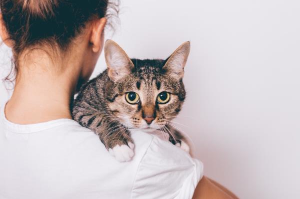 It’s common these days for people to schedule an appointment for their pets — and then wait weeks, if not months, for their animals to be seen. 