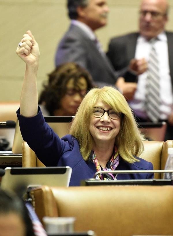 Assemblywoman Linda Rosenthal celebrates with members of the New York Assembly after passing bill banning cat declawing at the state Capitol.