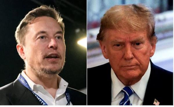 Do<em></em>nald Trump May Give Elon Musk Advisory Role If Elected President: Report