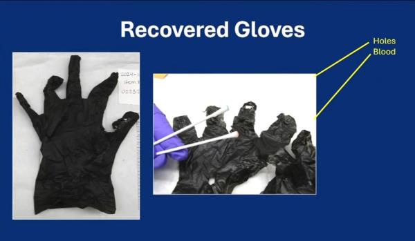 Gloves with holes and blood were recovered following an investigation into Riley's murder.