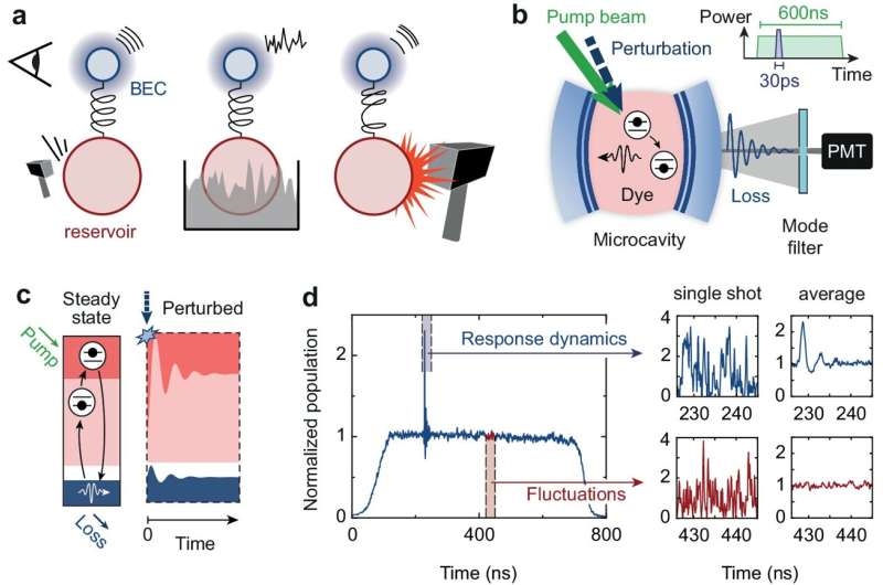 Perturbations simplify the study of 'super photons'