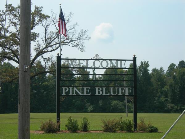 Sign reading 'Welcome to Pine Bluff, Arkansas' with a flag on top