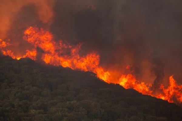 More than 600 firefighters are attempting to put out the remnants of three different major wildfires in Greece this weekend.