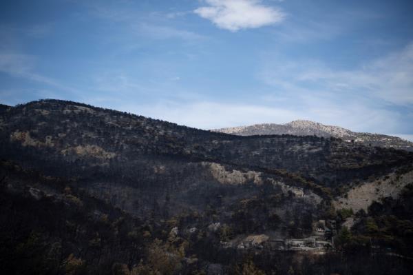 A burned down forest in Mount Parnitha in northwestern Athens.