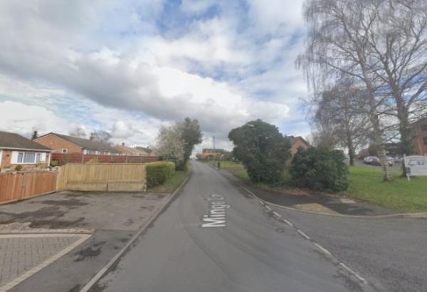 Council announces it will be trimming bushes on Minge Lane Google Maps