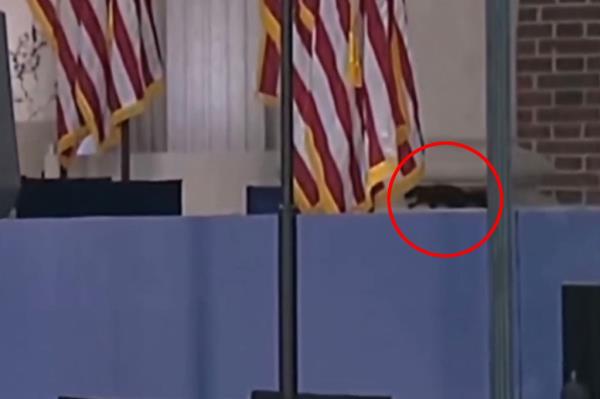 A squirrel (circled in red) spotted running across the stage just moments before Vice President Kamala gave her co<em></em>ncession speech Wednesday in Washington DC.