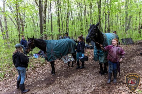 Both horses were OK in the end. 