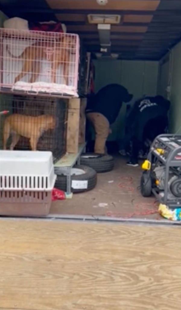 A video of the rescue showed the dogs in tiny cages in a stuffed into a small room.