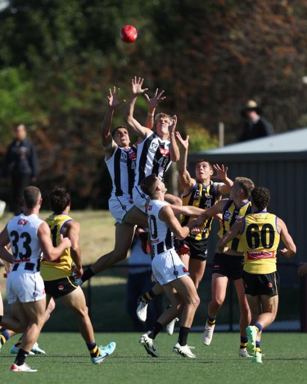 Jack Hutchinson of the Magpies flies for a mark.